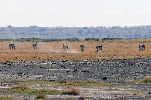Kenia (148)